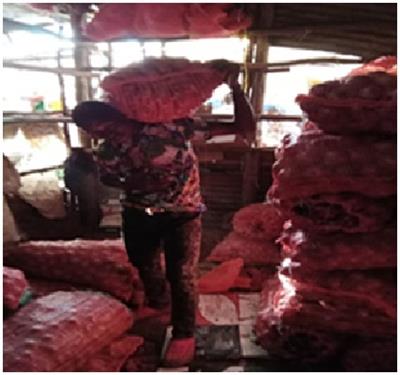 Voices and challenges of marginalized and vulnerable groups in urban informal settlements in Nairobi, Kenya: building on a spectrum of community-based participatory research approaches